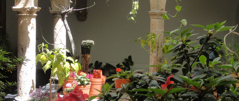 Centro Ejecutivo MG & Asociados